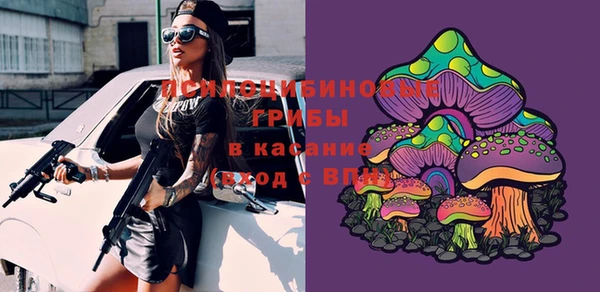 винт Армянск